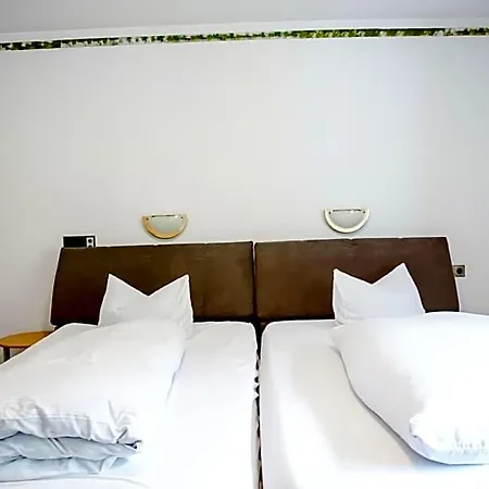 Smart B&b2 Bb2 313